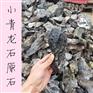 广西小青龙挂壁画石/鱼缸微景观/小号青龙石原石