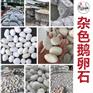 圆润鹅卵石园林填充/东莞雨花石市场/庭院打造石子路