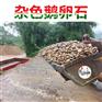 清远鹅卵石批发基地/椭圆杂色石子/公园铺路设计