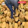 常州黄蜡石原石/湖边叠置黄蜡石案例/庭院假山制造