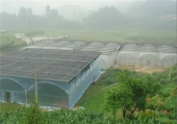 山东智能温室大棚建设价格