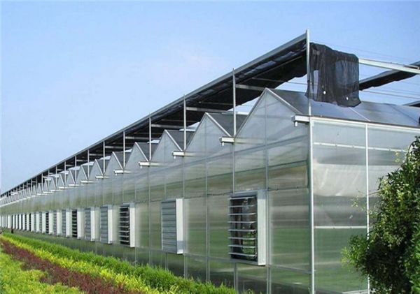 山东智能温室大棚建设价格