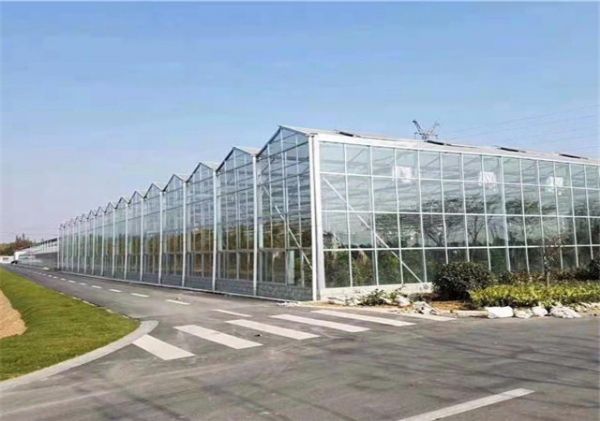 山东智能温室大棚建设价格