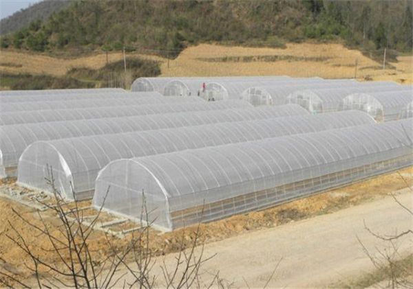 山东连栋大棚造价