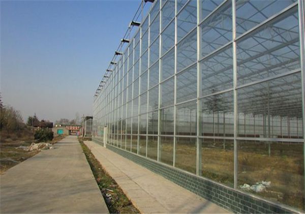 山东连栋薄膜大棚建设价格