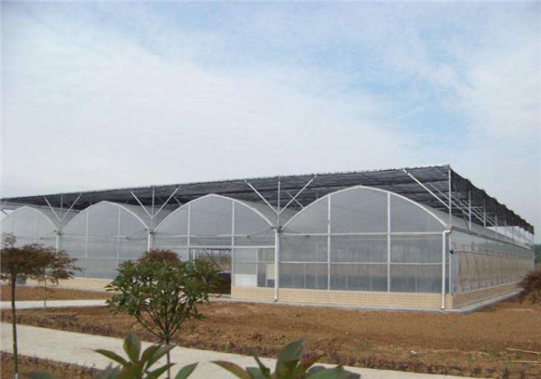 山东连栋大棚建设价格