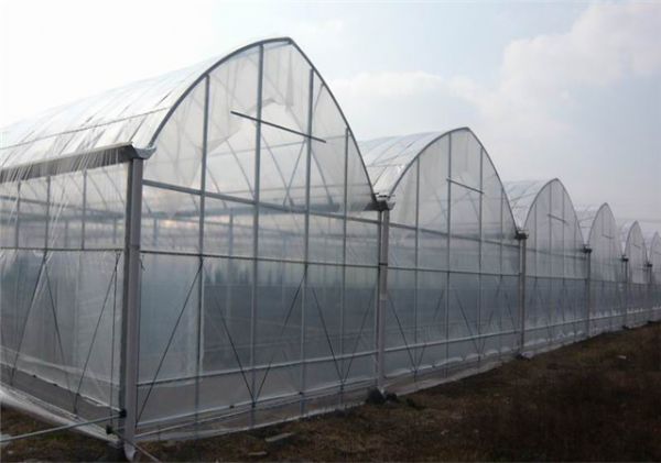 山东连栋大棚建设价格