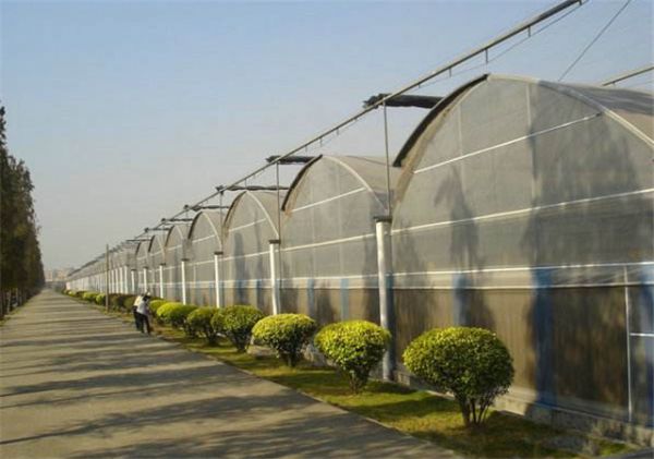 山东连栋大棚建设价格