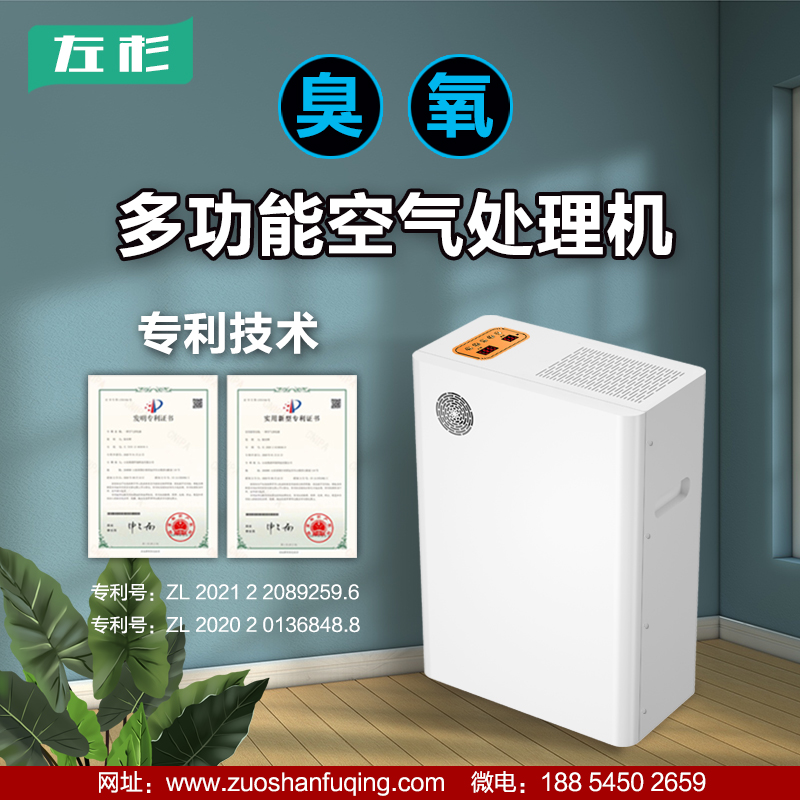 左杉臭氧消毒机发生器家用装修除甲醛空气杀菌净化器  臭氧机