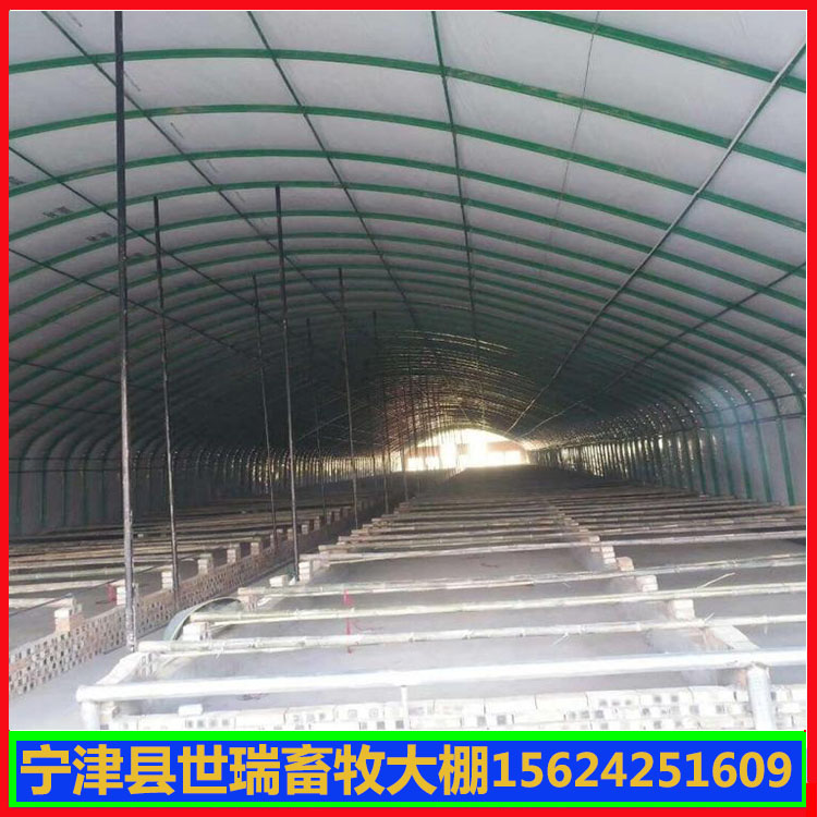 养猪舍大棚建设 养猪大棚施工安装 猪场大棚设计安装