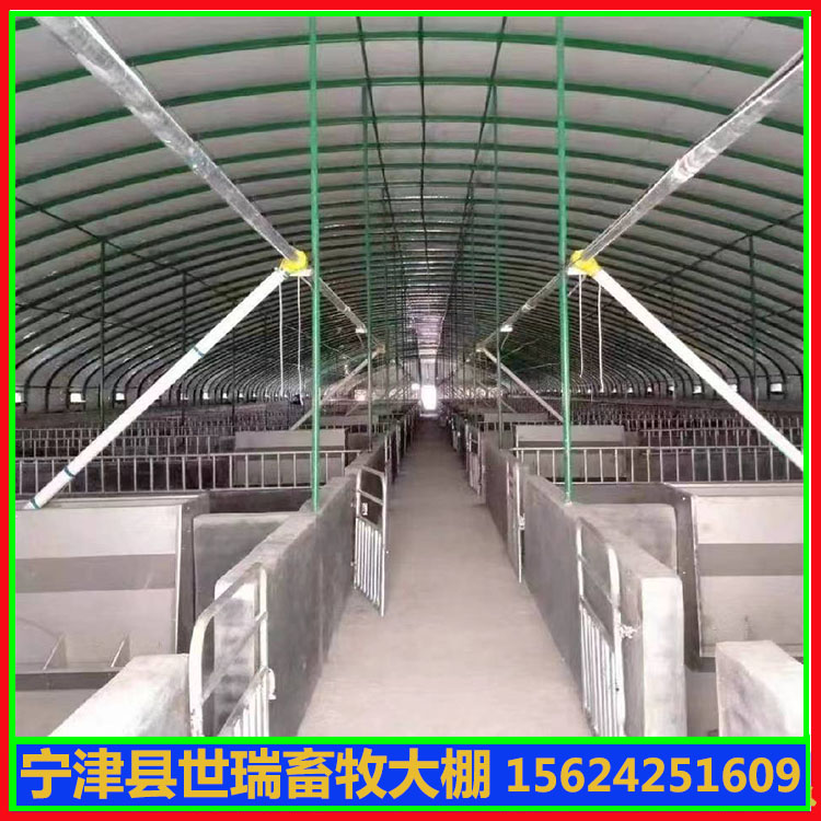 现代化猪棚搭建 猪舍大棚建造 养猪棚材料施工生产