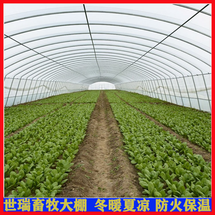 温室大棚建设 花卉大棚搭建 西瓜种植大棚钢管生产
