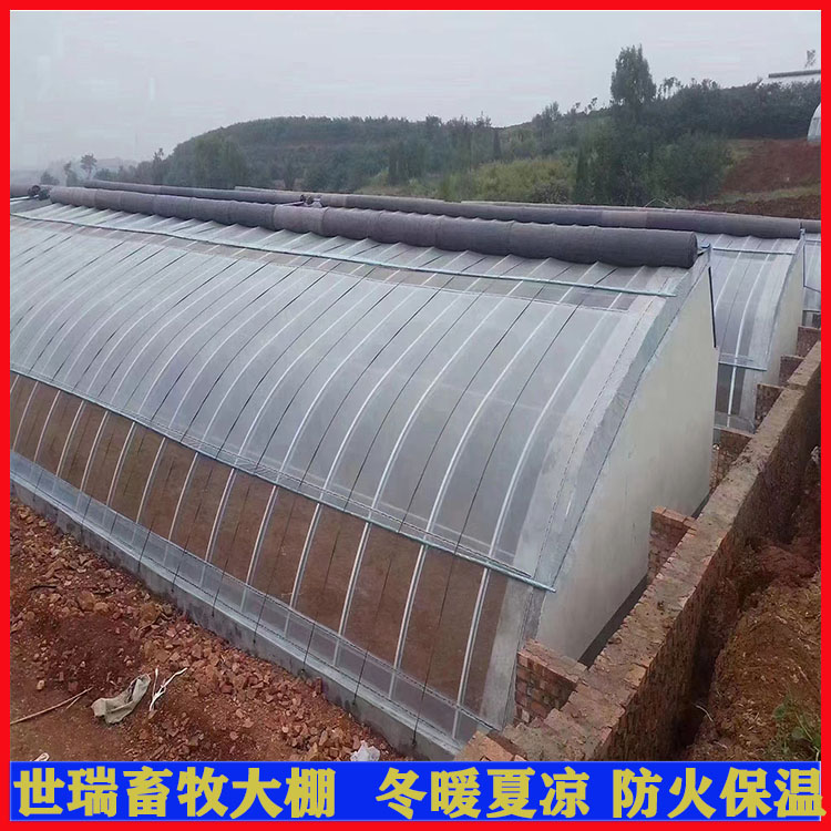 种植大棚搭建 蔬菜大棚钢管 日光暖棚安装 镀锌大棚钢管  镀锌大棚钢管生产