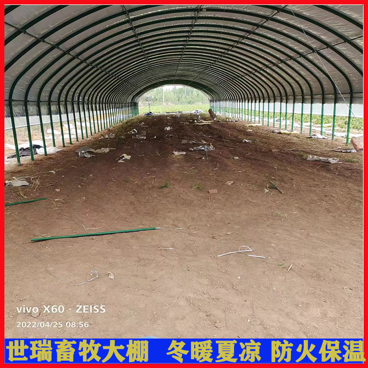 养羊大棚建设材料 羊舍大棚施工方法 保温羊棚搭建厂家