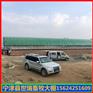 温室养牛大棚搭建 牛舍大棚建设 肉牛养殖大棚建造
