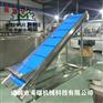 肉类提升输送机 食品厂提升机定做 果蔬加工流水线