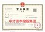 深圳公司注册中才资本控股（深圳）集团有限公司转让