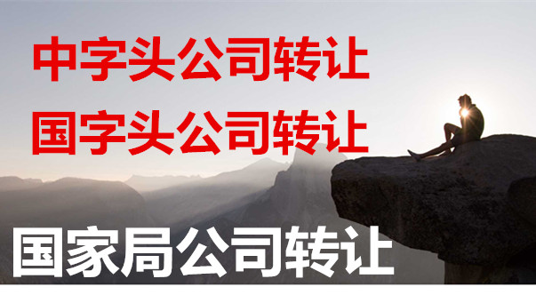 国家局公司转让，无行业限制  中字头公司转让