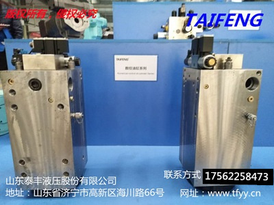 100吨电液折弯机油缸MB-02.01N-00 杨力集团液压  供应  厂家直销  液压元件