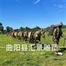 定制玻璃钢茶马古道雕塑古代商队雕塑丝绸之路马帮雕塑