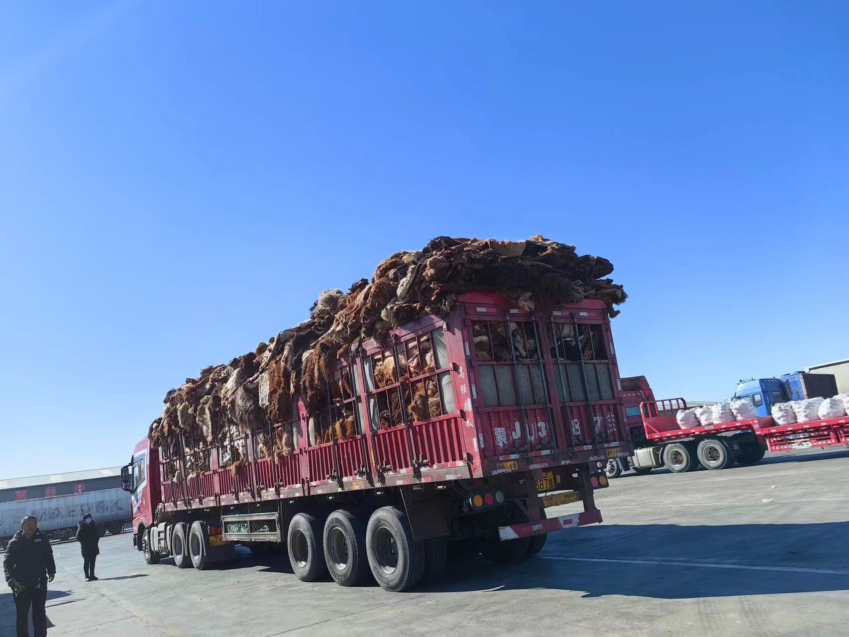 秦皇岛到外蒙古乌兰巴托汽运专线  蒙古汽运  乌兰巴托专线