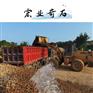 小区鹅卵石铺设用量/广东鹅卵石市场/分规格石子堆放