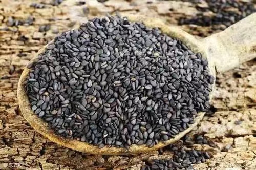 进口芝麻清关想了解报关流程看看这  芝麻进口清关  进口芝麻报关  进口报关代理
