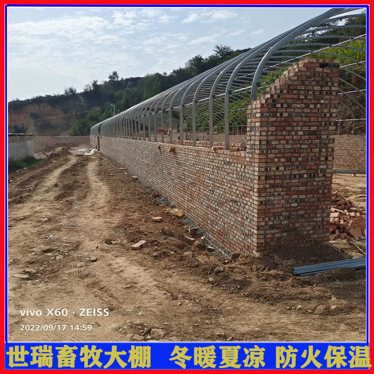 猪舍大棚施工 养猪大棚建造 新式养猪棚设计安装