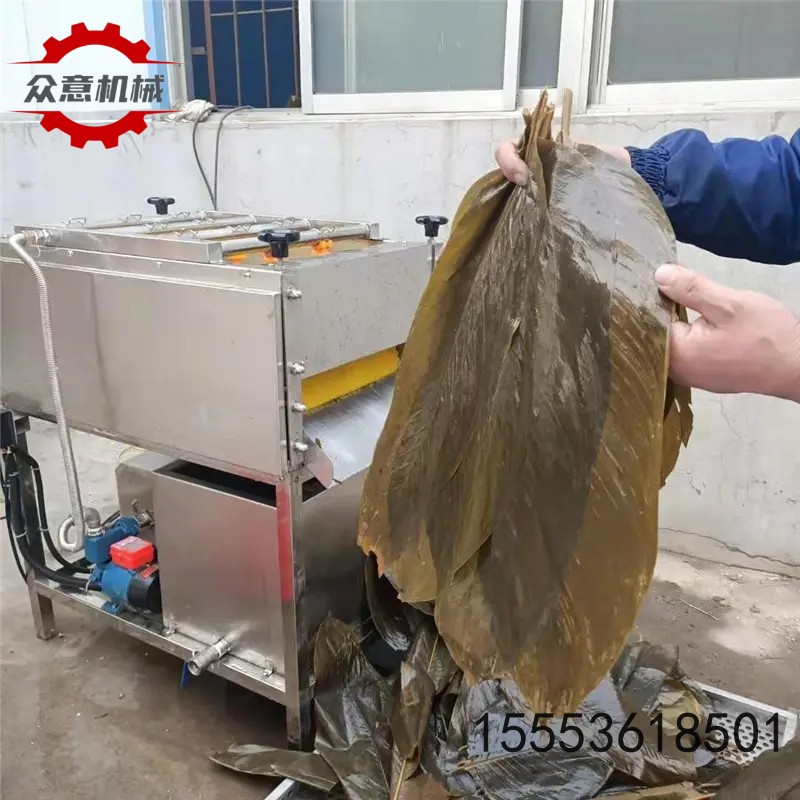 毛辊式粽叶清洗机 箬叶笋叶清洗机 粽子加工厂设备