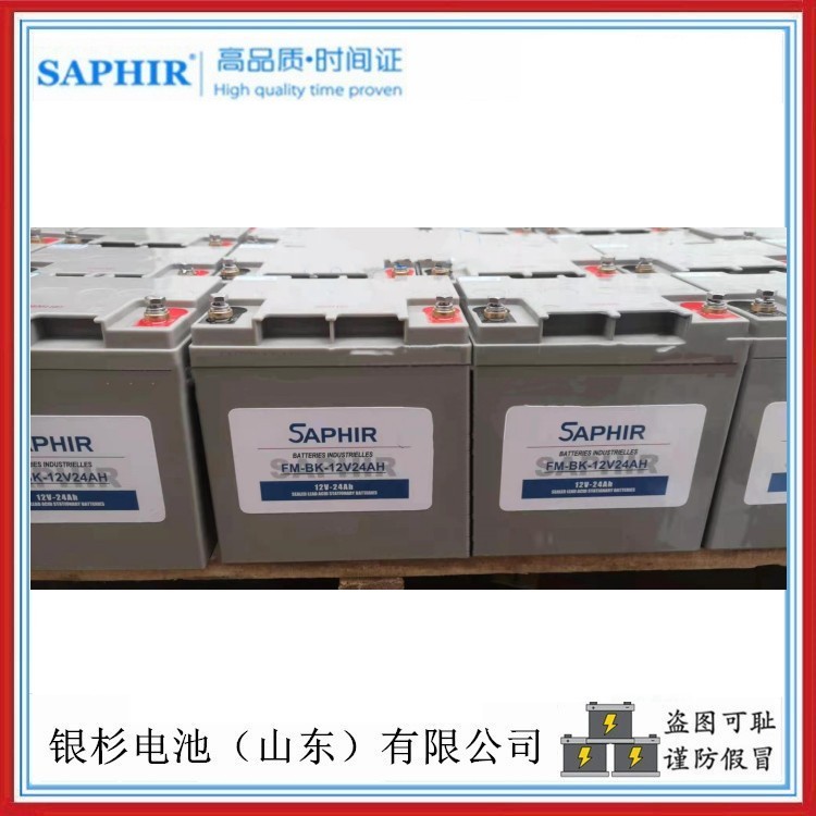 时高SAPHIR蓄电池BT-12M14机房UPS通信电力储能&nbsp;&nbsp;时高蓄电池