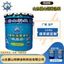 环氧防腐涂料 碧山科技生产不同类型的油性漆面漆