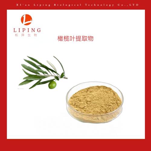油橄榄(OLEA EUROPAEA)叶提取物 橄榄苦甙10%