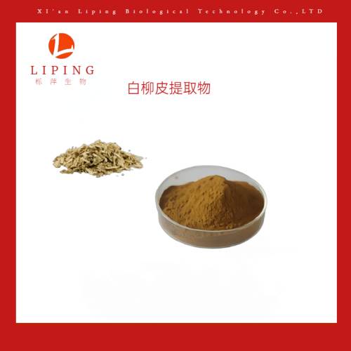 白柳SALIX ALBA树皮提取物水杨甙  白柳树皮提取物  水杨苷