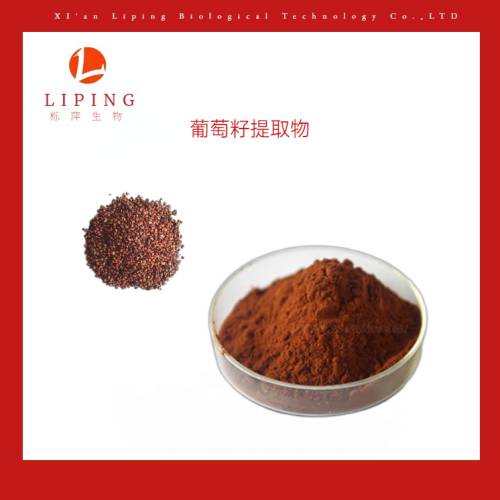 葡萄籽VITIS VINIFER提取物原花青素OPC95%  葡萄籽提取物