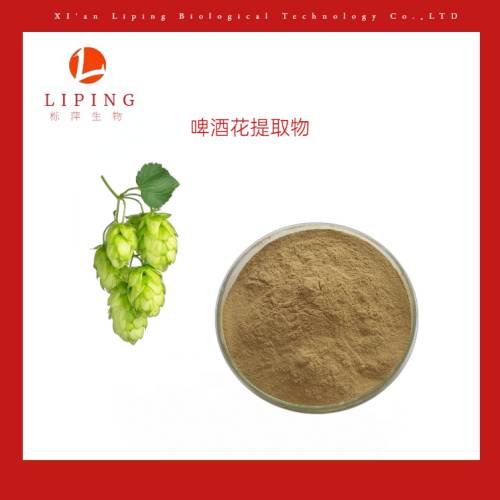 啤酒花HUMULUS LUPULUS球果提取物  啤酒花提取物  啤酒花黄酮