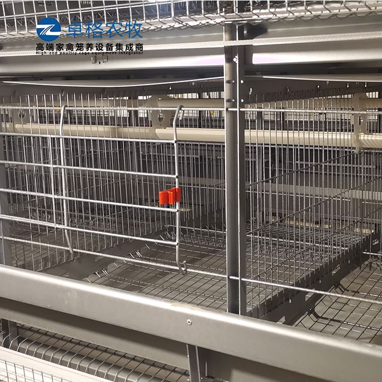 卓格农牧全自动养鸡笼蛋鸡捡蛋设备层叠式鸡舍&nbsp;&nbsp;规模化蛋鸡笼养&nbsp;&nbsp;自动化养鸡设备