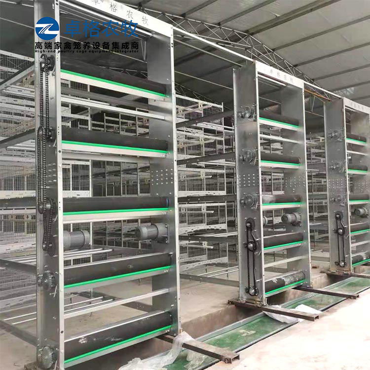 卓格农牧鸡舍自动清粪机大型蛋鸡养殖自动化设备&nbsp;&nbsp;全自动清粪机&nbsp;&nbsp;层叠式鸡舍