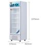英鹏防爆冰箱-冷藏300L-BL-200LC300L