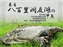 养殖甲鱼批发一斤多少钱