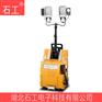 移动照明装置 FW6128 60W 24V IP65