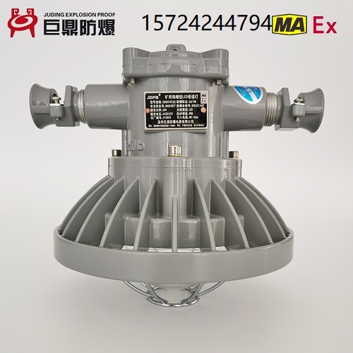 DGS24/127L(A)矿用隔爆型LED投光巷道灯24W圆  24W圆形巷道灯