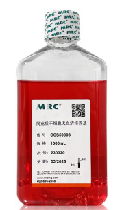 免疫细胞无血清培养基