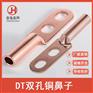 DT2-25-400mm双孔铜鼻子 DTS（酸洗) 国标双孔