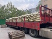 厂家批发小白盐工业盐 水处理用盐氯化钠