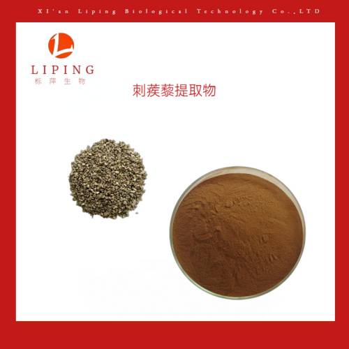 刺蒺藜皂甙40%60%90%98%刺蒺藜提取物