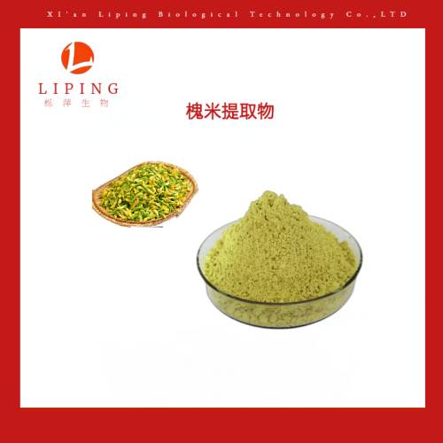 槲皮素95%槐米提取物