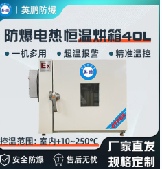 英鹏防爆真空干燥箱（功能型）91L-BYP-070GX-9Z  英鹏防爆干燥箱  英鹏防爆更安全