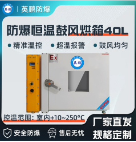 英鹏防爆真空干燥箱（功能型）53L-BYP-070GX-5Z  英鹏防爆干燥箱  英鹏防爆更安全