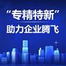 专精特新企业申报 一站式服务
