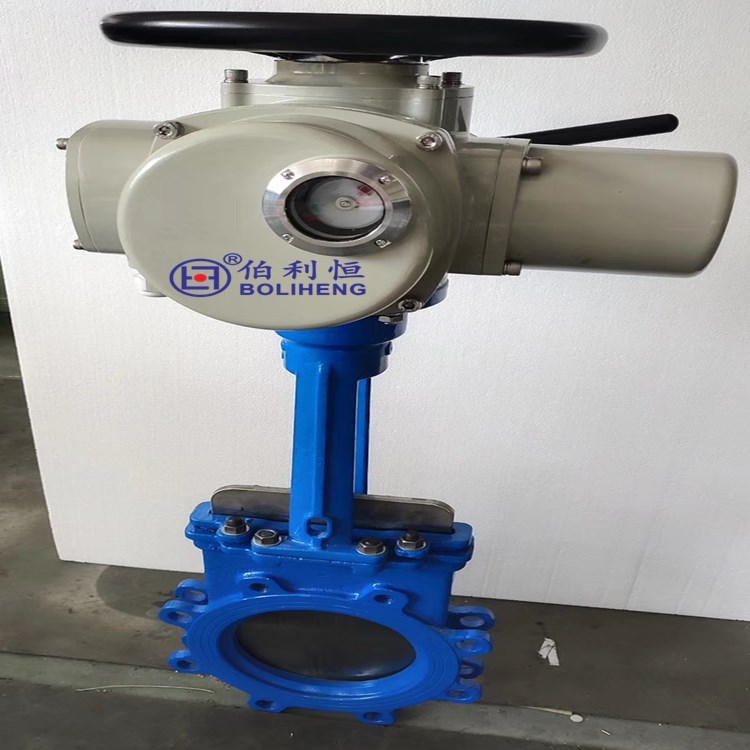 伯利恒多回转阀门电动装置Z30-24W/ZM电动执行机构  电动执行器